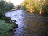 McKenzie River near Belknap